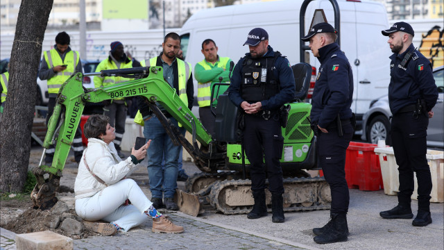 Femme assise à côté d'un jacaranda pour empêcher son abattage à Lisbonne