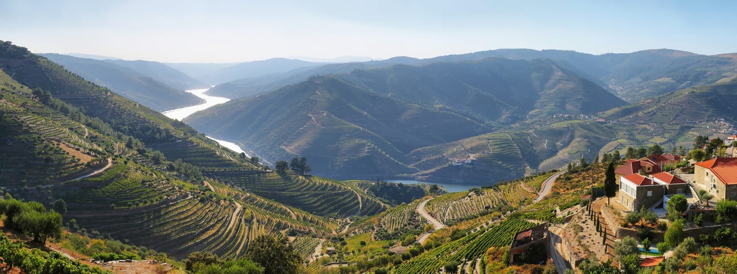 Les vignobles en terrasses de la vallée du Douro
