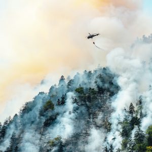 extinguishing a forest fire