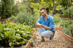 Farmer with digital tablet work at vegetable garden