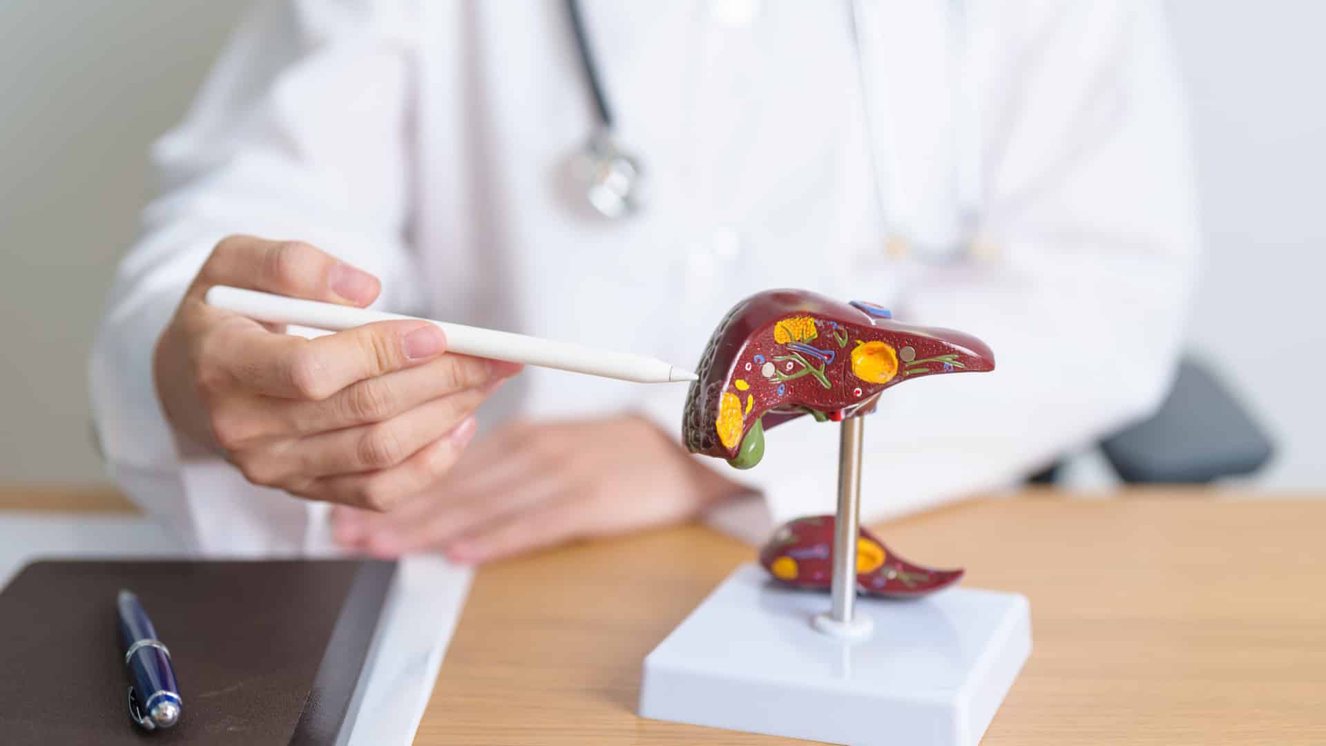 Coimbra participe à une étude pour améliorer le diagnostic des maladies du foie.