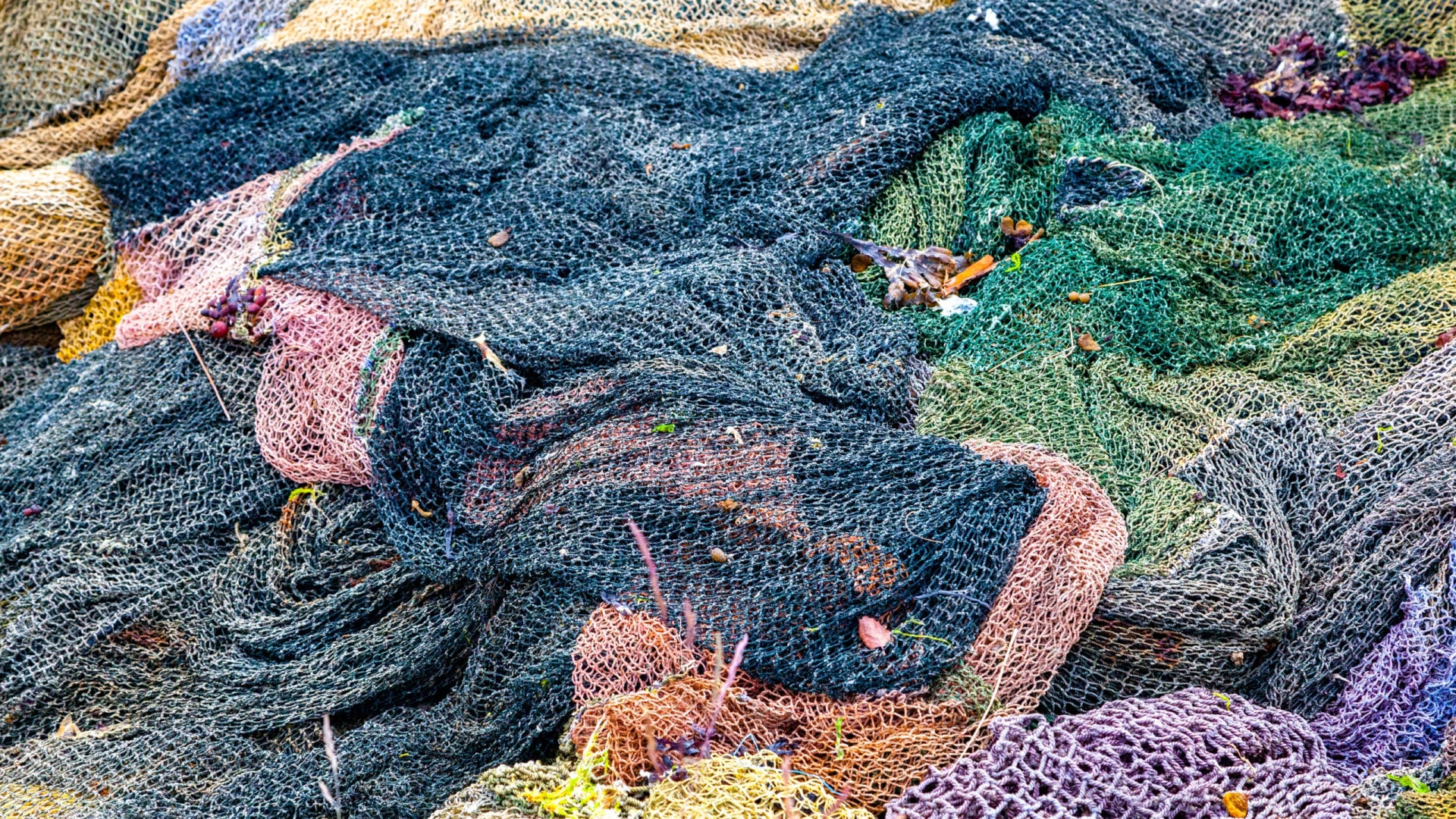 Inspecteurs des pêches avec supplément de rémunération fixe de 100 euros