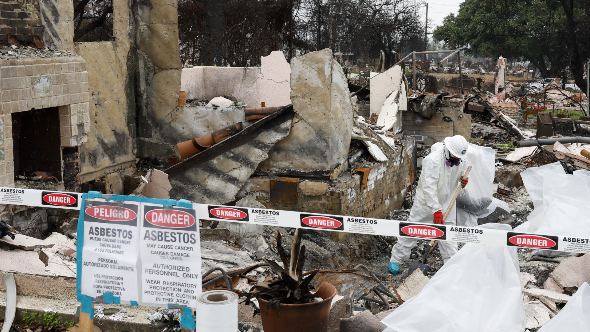 Le Portugais lance une chanson pour collecter des fonds pour les victimes des incendies à LA.