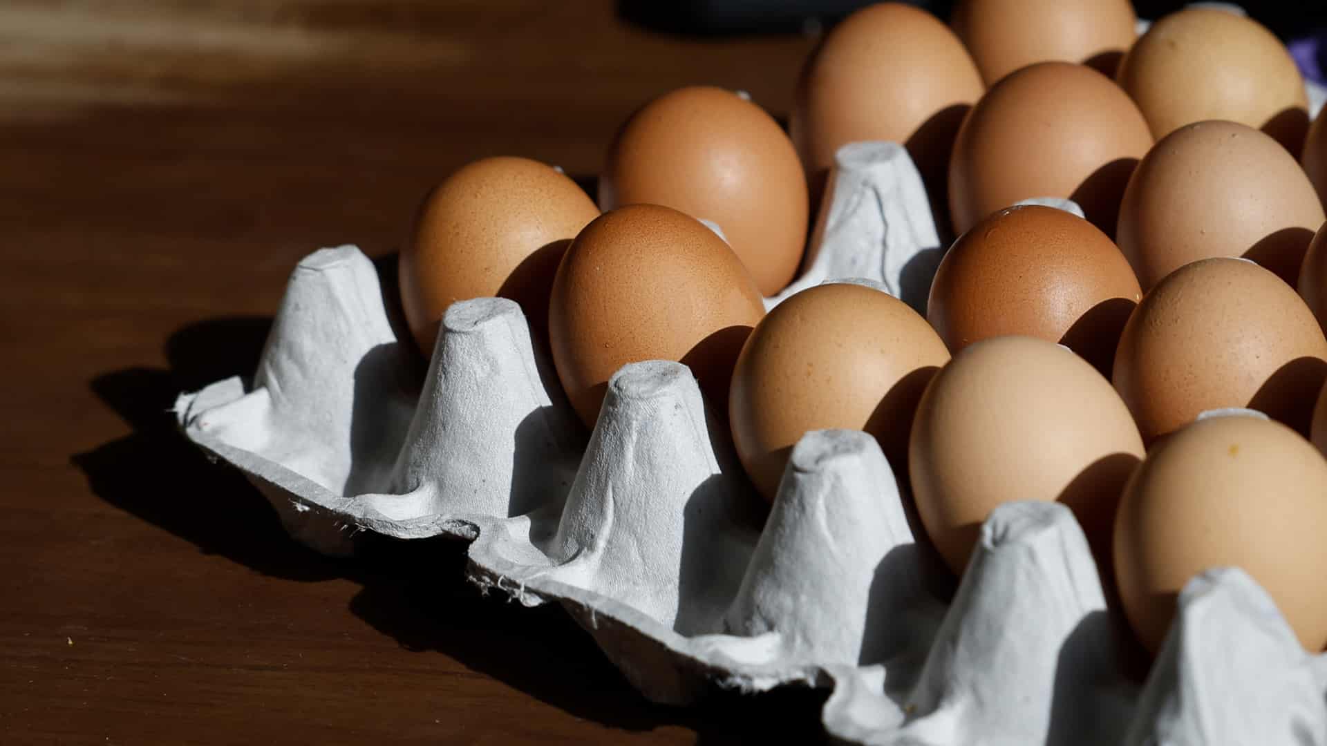 Le prix des œufs augmente de près de 80 % entre 2022 et 2025.