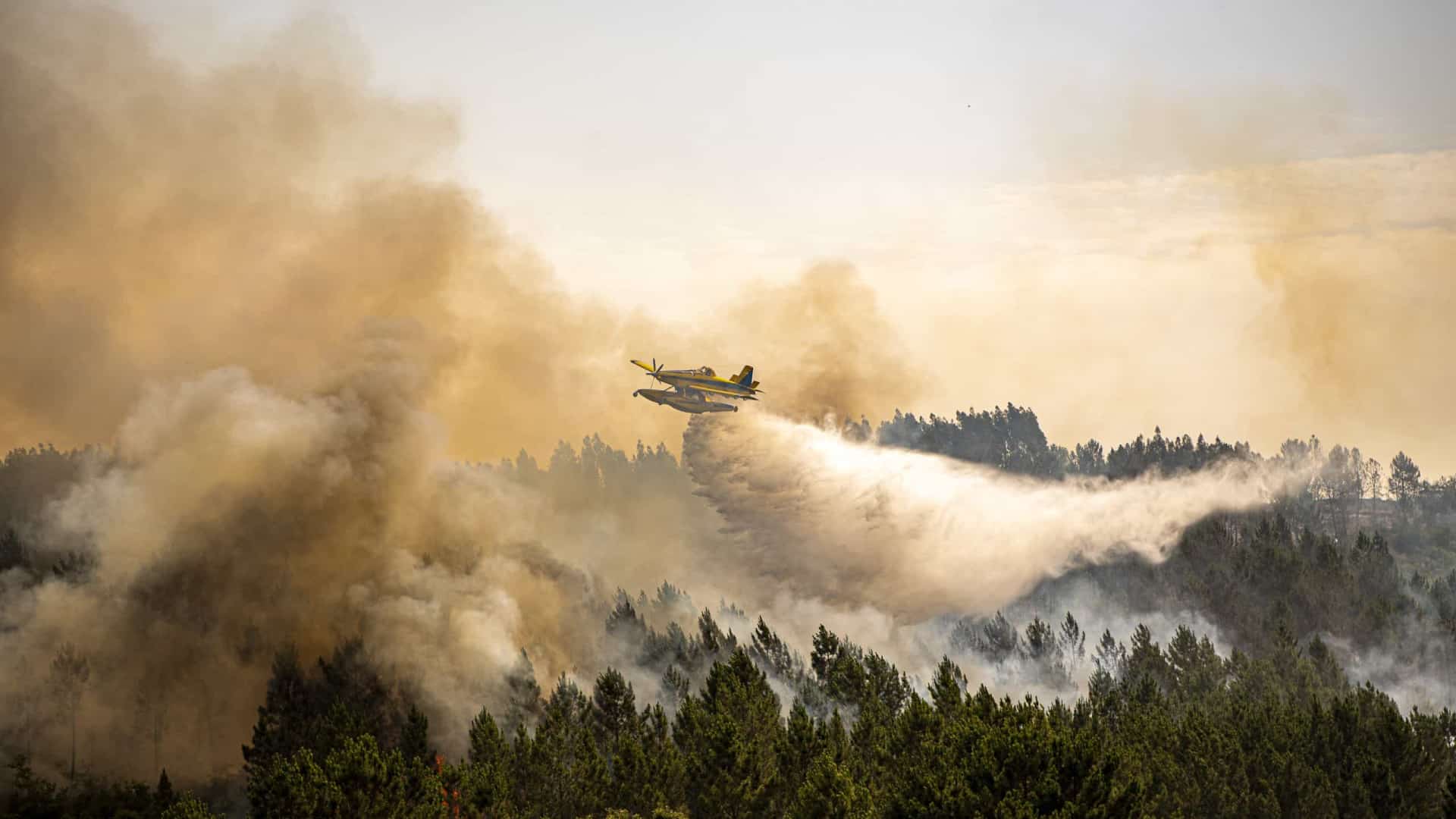 Alentejo sans moyens aériens ? L'Armée de l'air rend la Protection civile responsable.