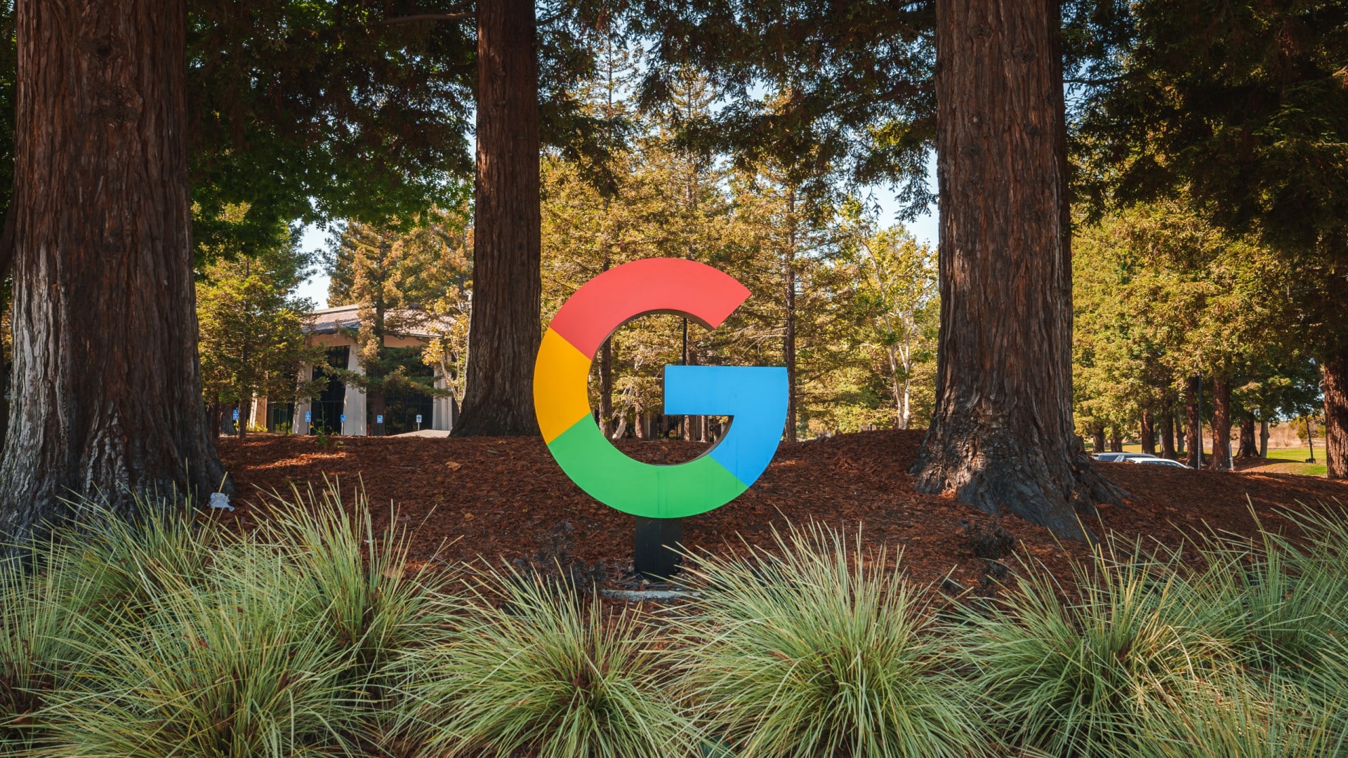 Câble sous-marin de Google avec atterrissage à Sines en consultation publique.