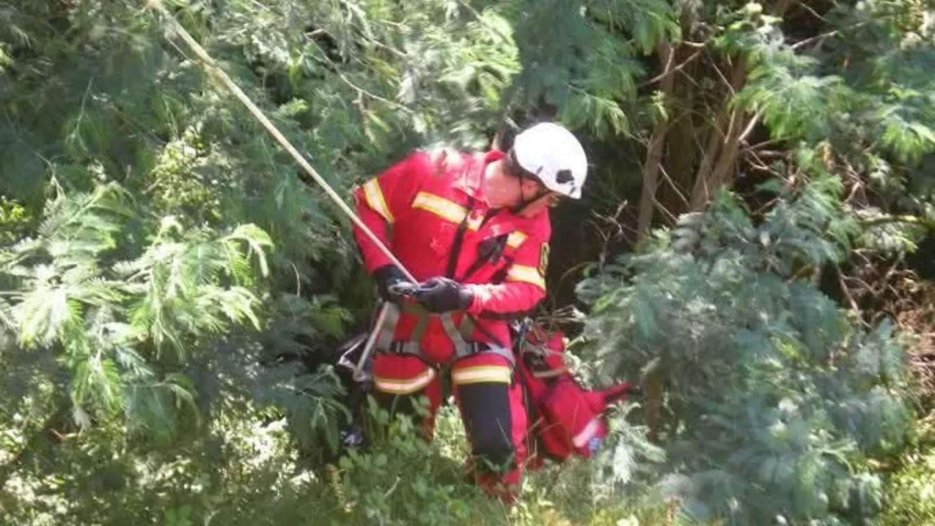 Deux pompiers blessés lors du sauvetage d'une femme israélienne dans la Serra da Lousã