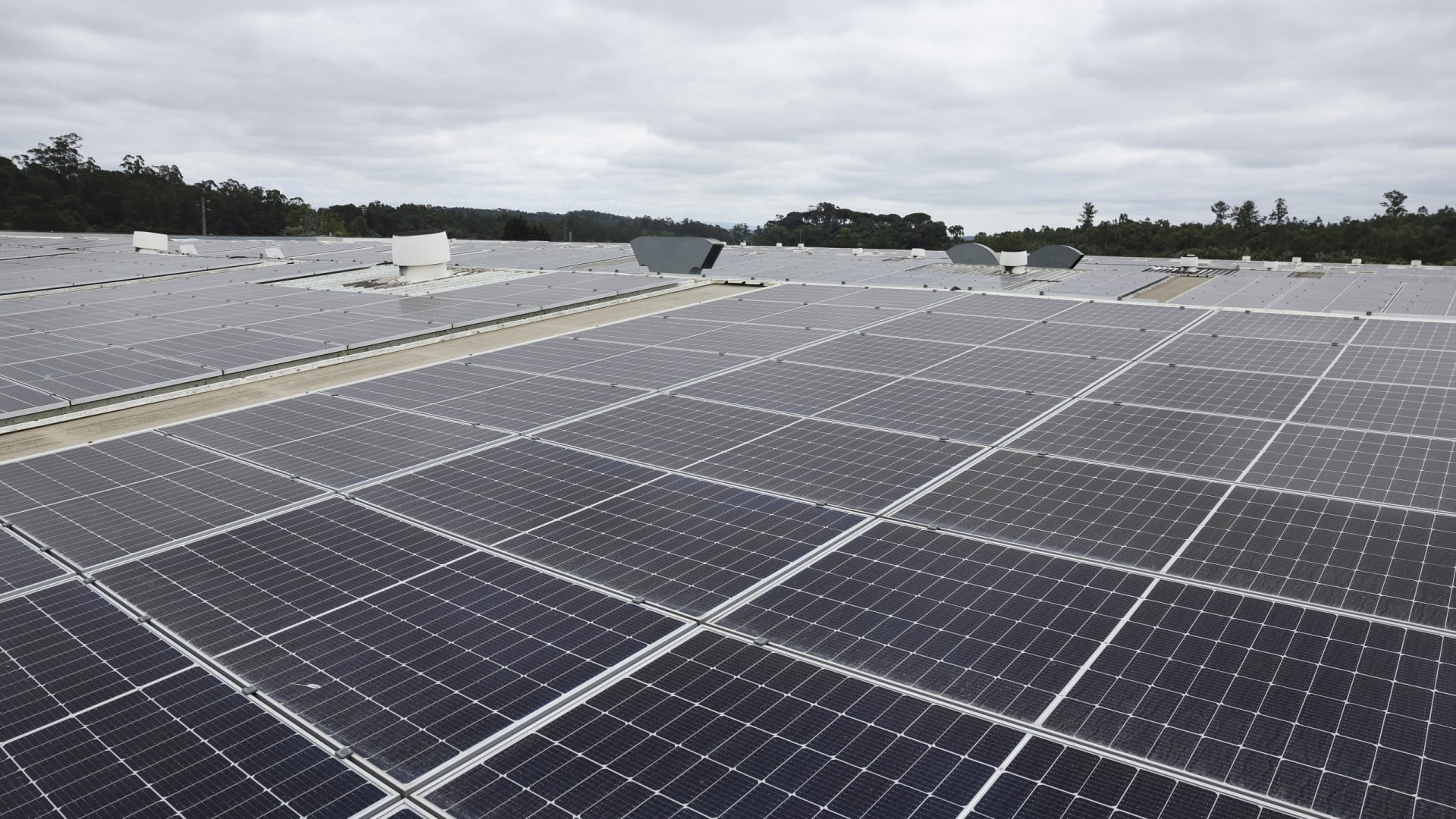 Fapricela inaugure une centrale solaire couvrant sept terrains de football.