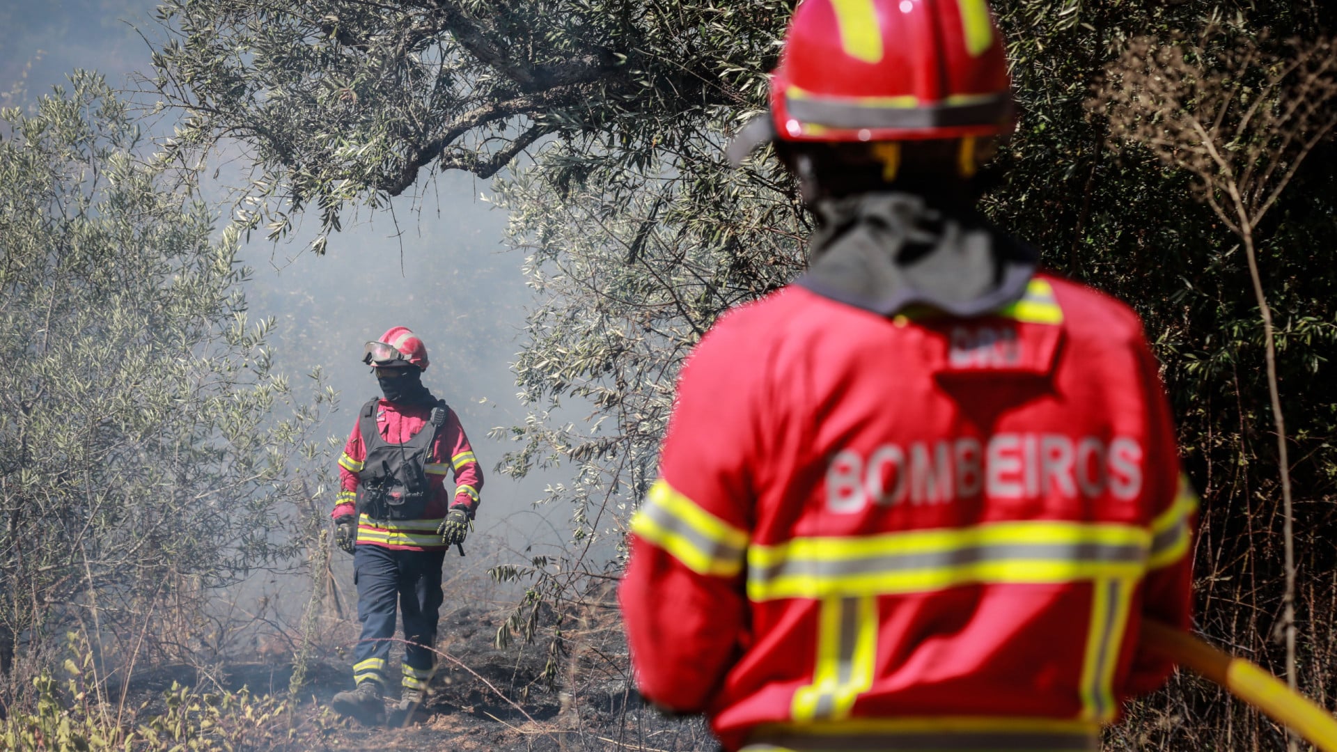 Feu maîtrisé dans la zone de Vidigueira. Il a mobilisé jusqu'à 188 opérateurs.