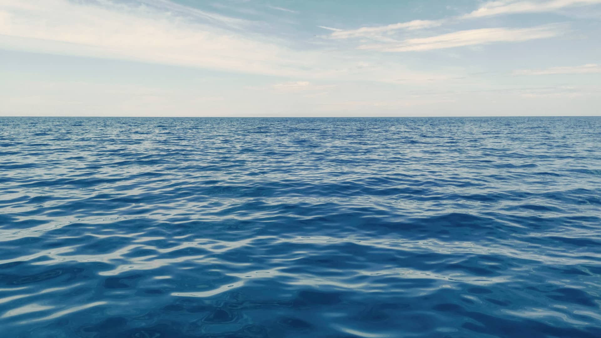 Fondation Oceano Azul signe un mémorandum pour étudier la valeur de la planète