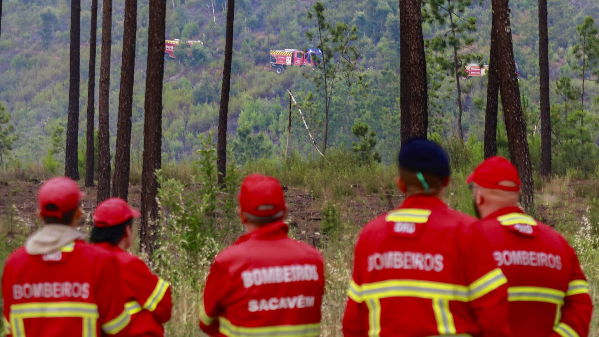 Incendie à Castelo Branco "presque maîtrisé". Torres Novas en refroidissement