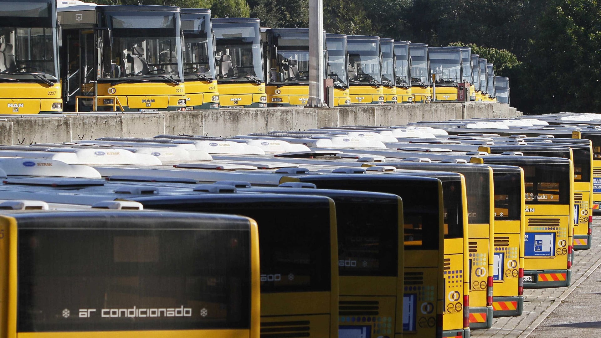 Jusqu'en 2028, Carris vise à se renouveler et à avoir 90 % de sa flotte en énergie propre.