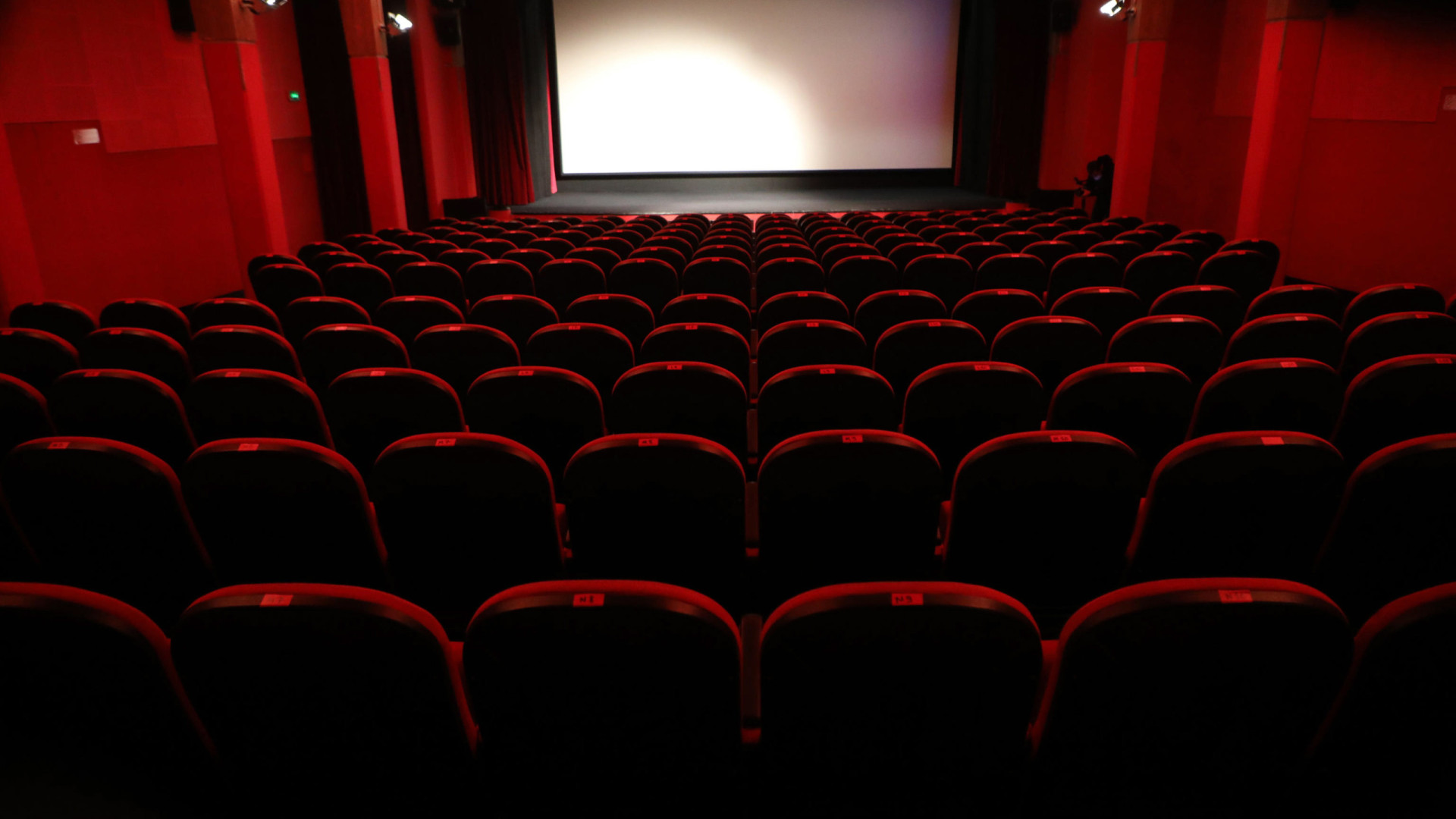 Le cinéma au Mozambique "reste vivant, mais avec quelques blessures".