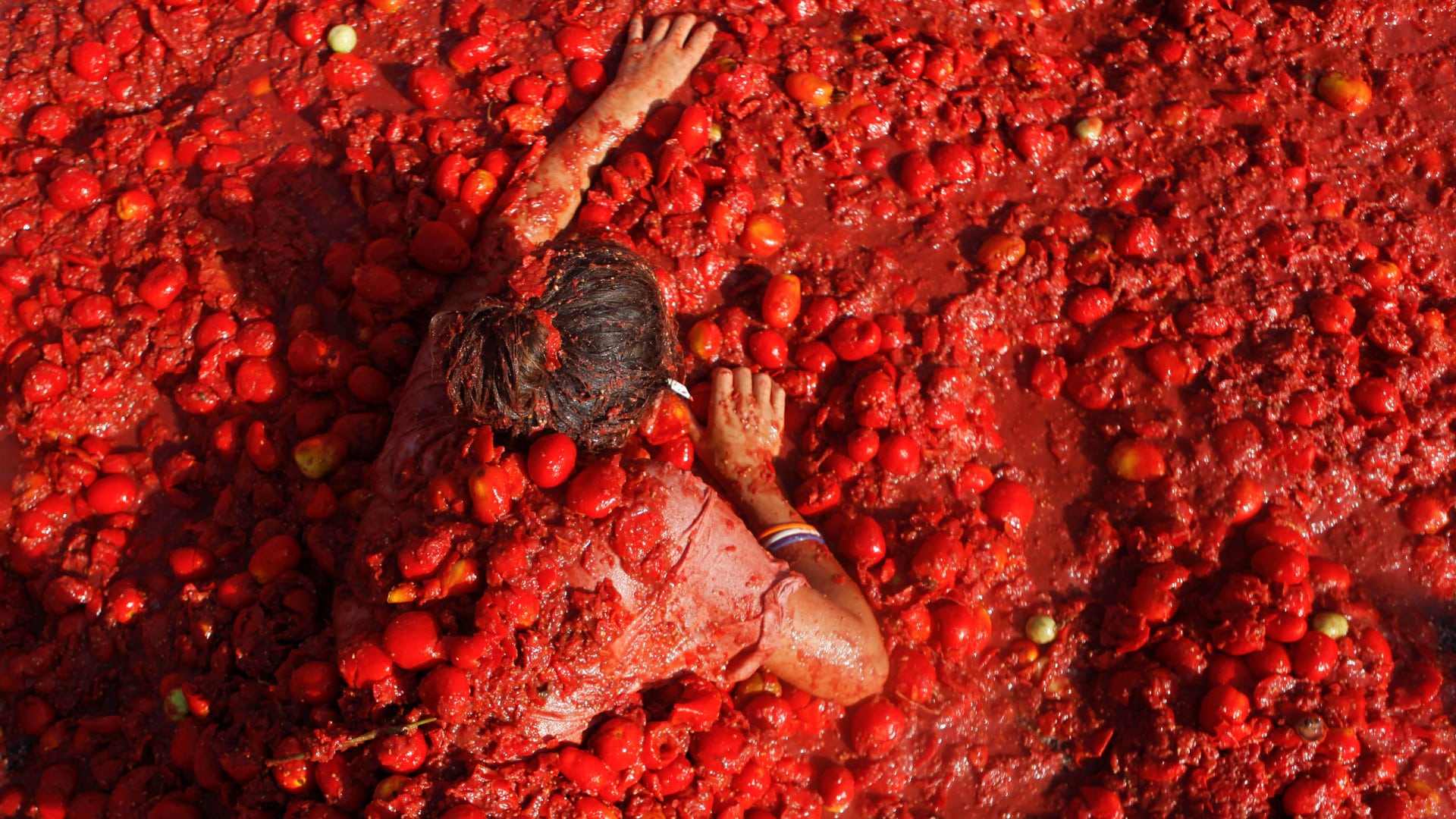 Le Portugal possède 236 variétés de tomates. Voici le Catalogue des Variétés 2025.