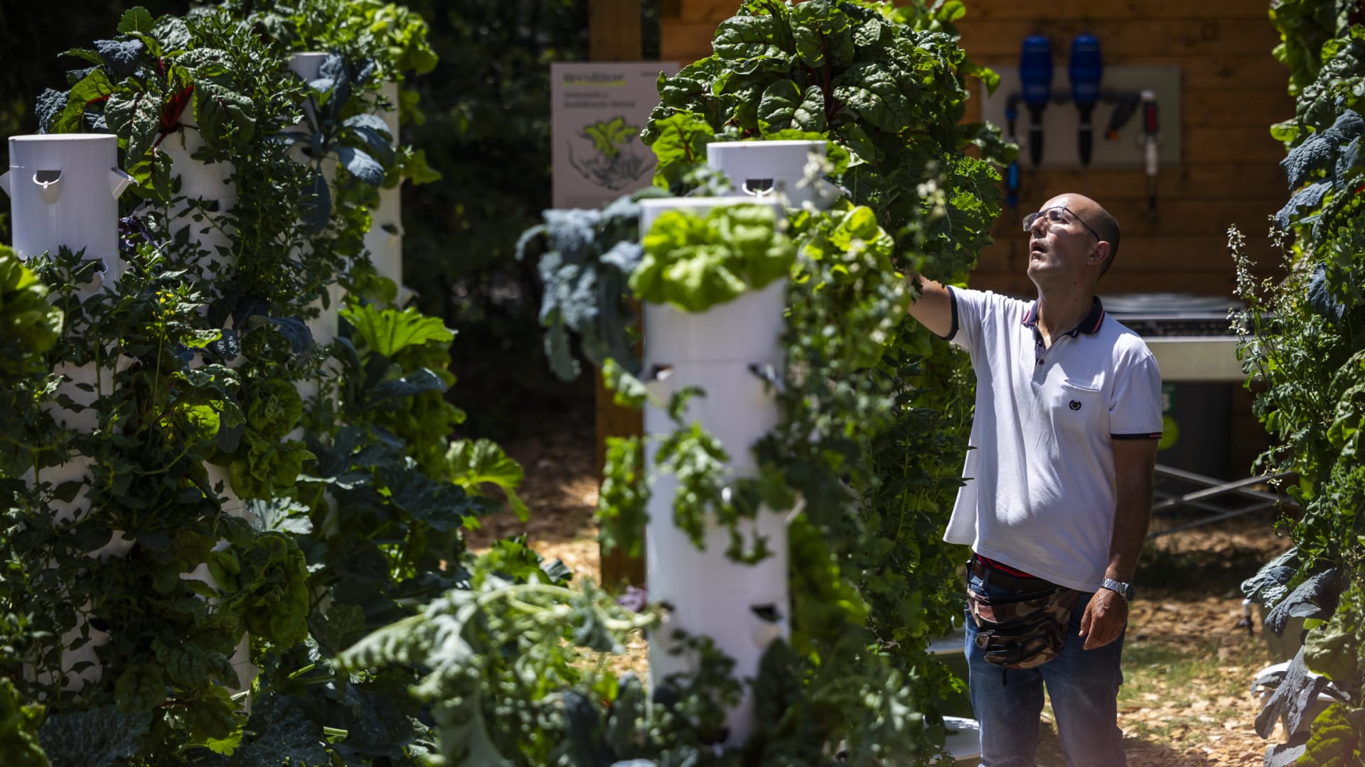 Le potager vertical vise à réintégrer les personnes avec des troubles psychiques.