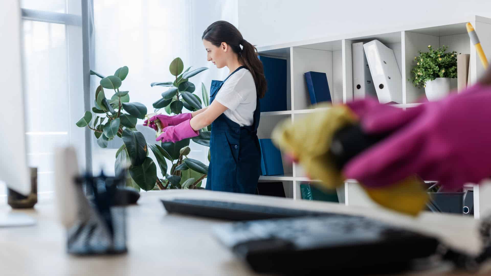 Les femmes dirigent les professions de soins personnels, de nettoyage, de santé et d'enseignement.