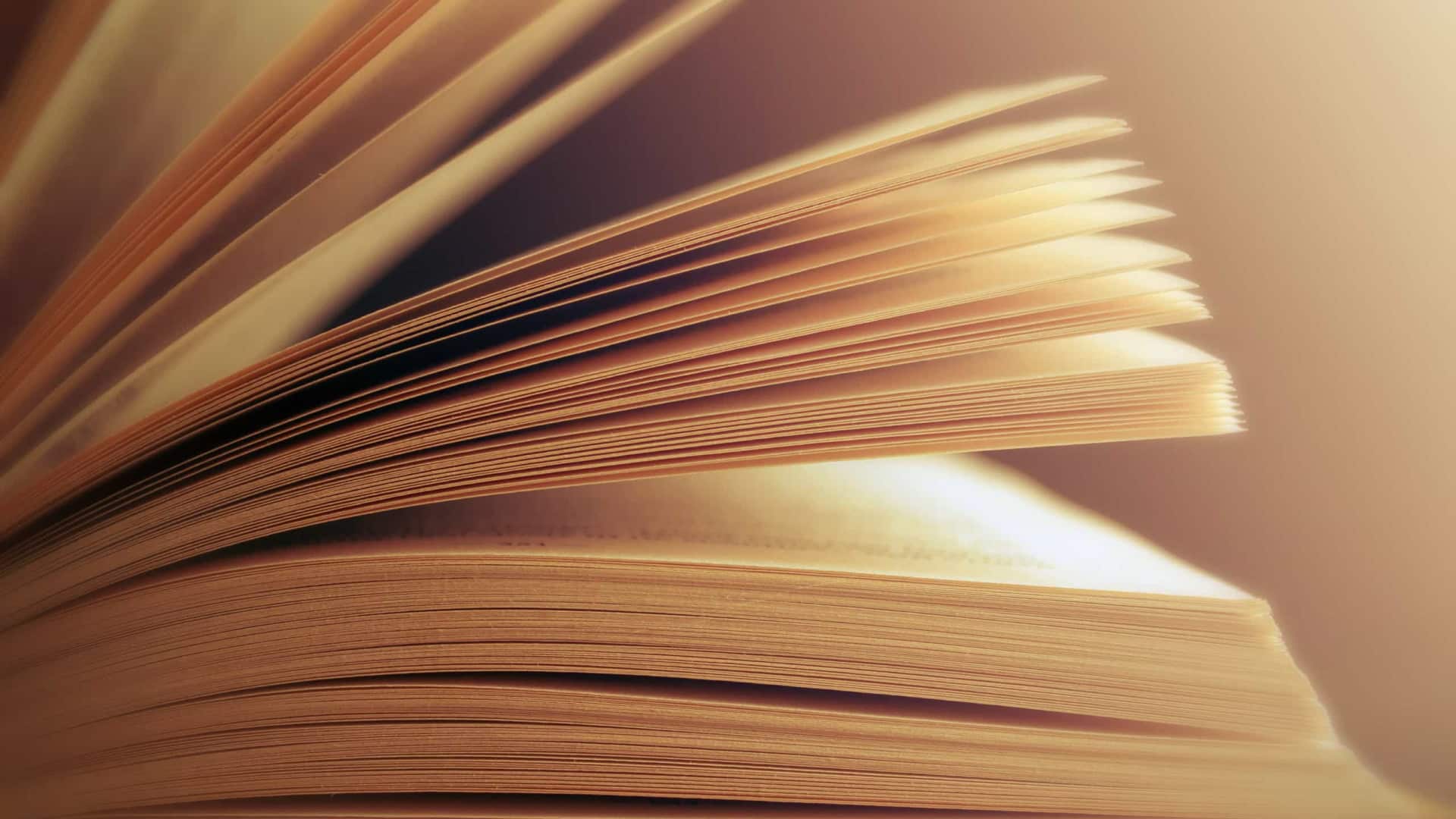 Les librairies portugaises reçoivent l'Anthologie de poésie ukrainienne