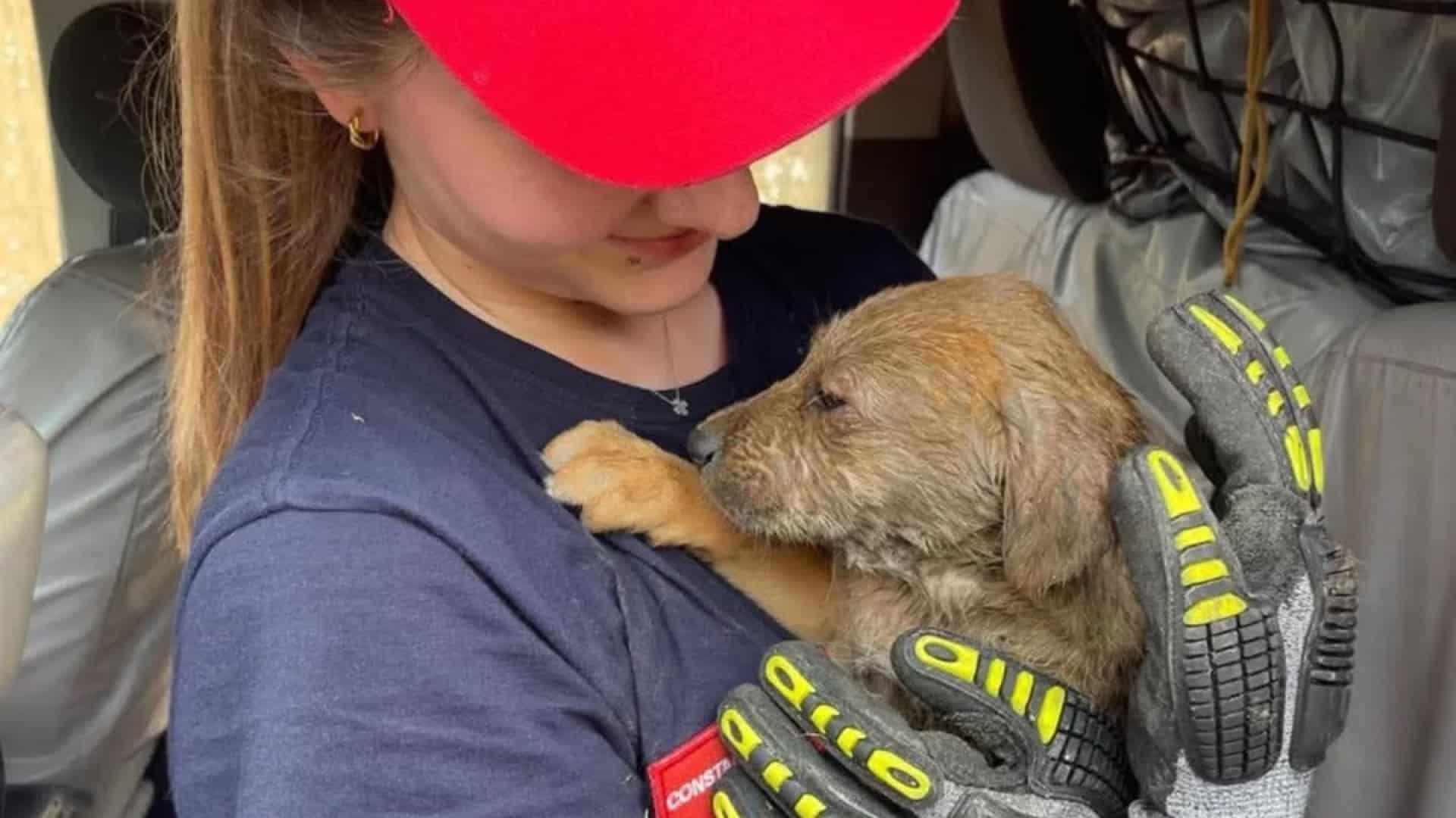 Les pompiers de Matosinhos-Leça sauvent un "chiot coincé dans une conduite d'eau".