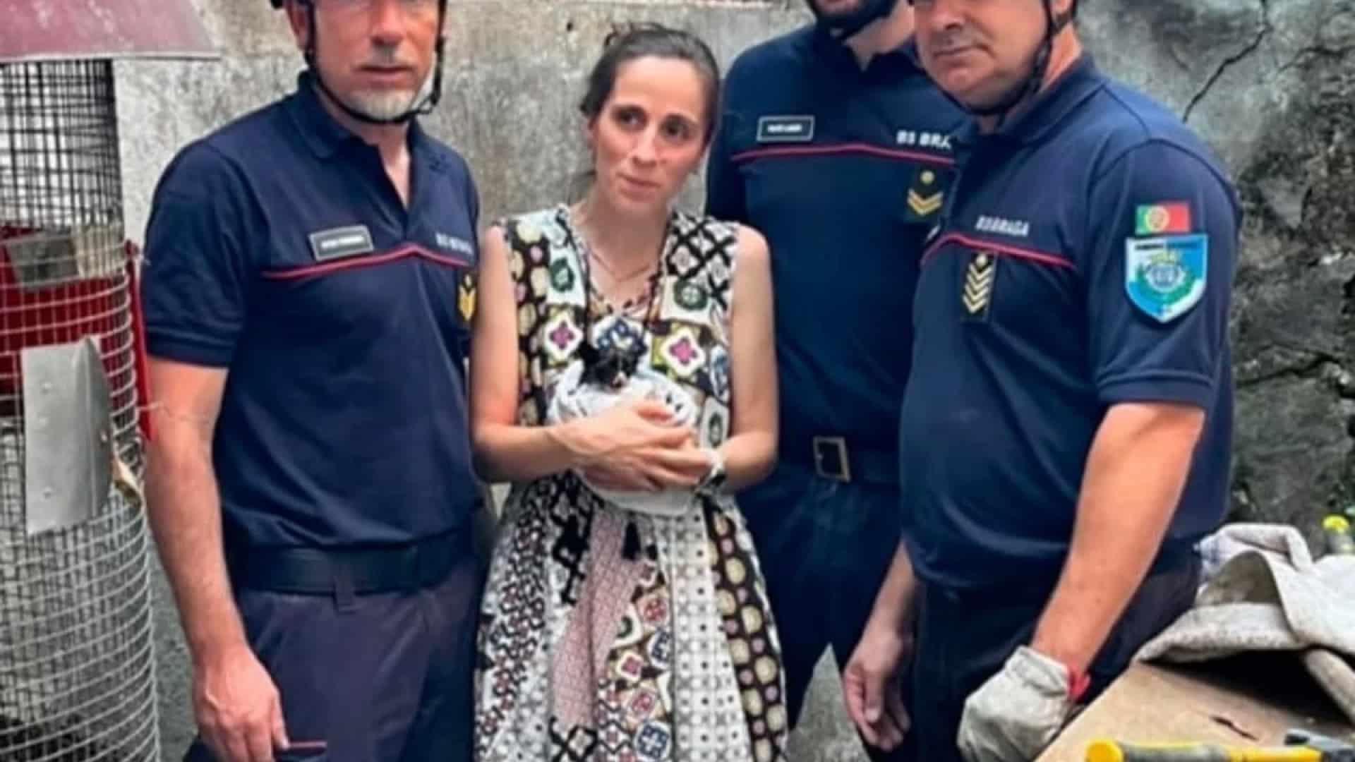 Les sapeurs de Braga et la PSP sauvent un chaton coincé dans une tuyauterie. Voir