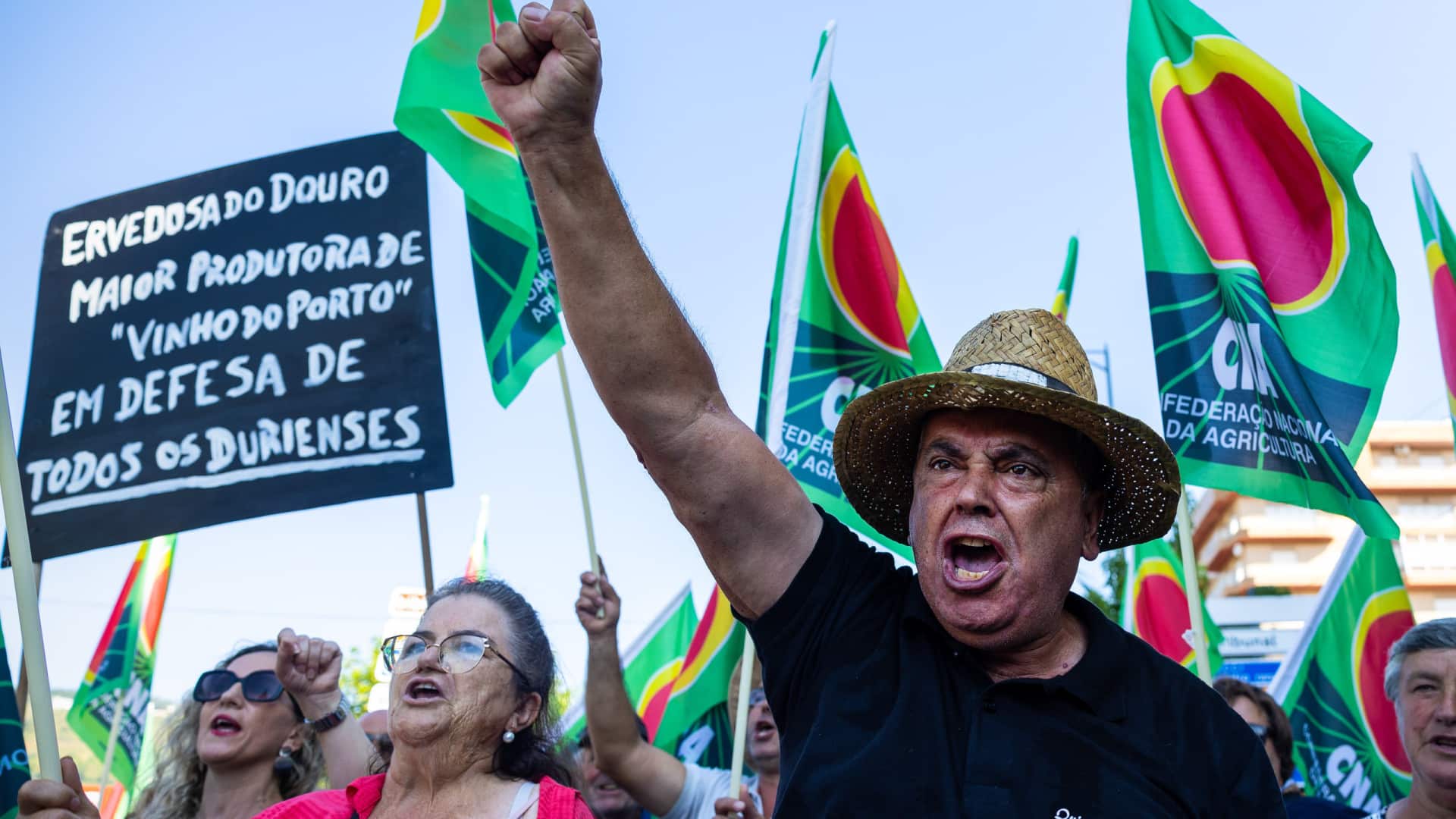 Les viticulteurs du Douro vont manifester le 2 juillet à Peso da Régua.