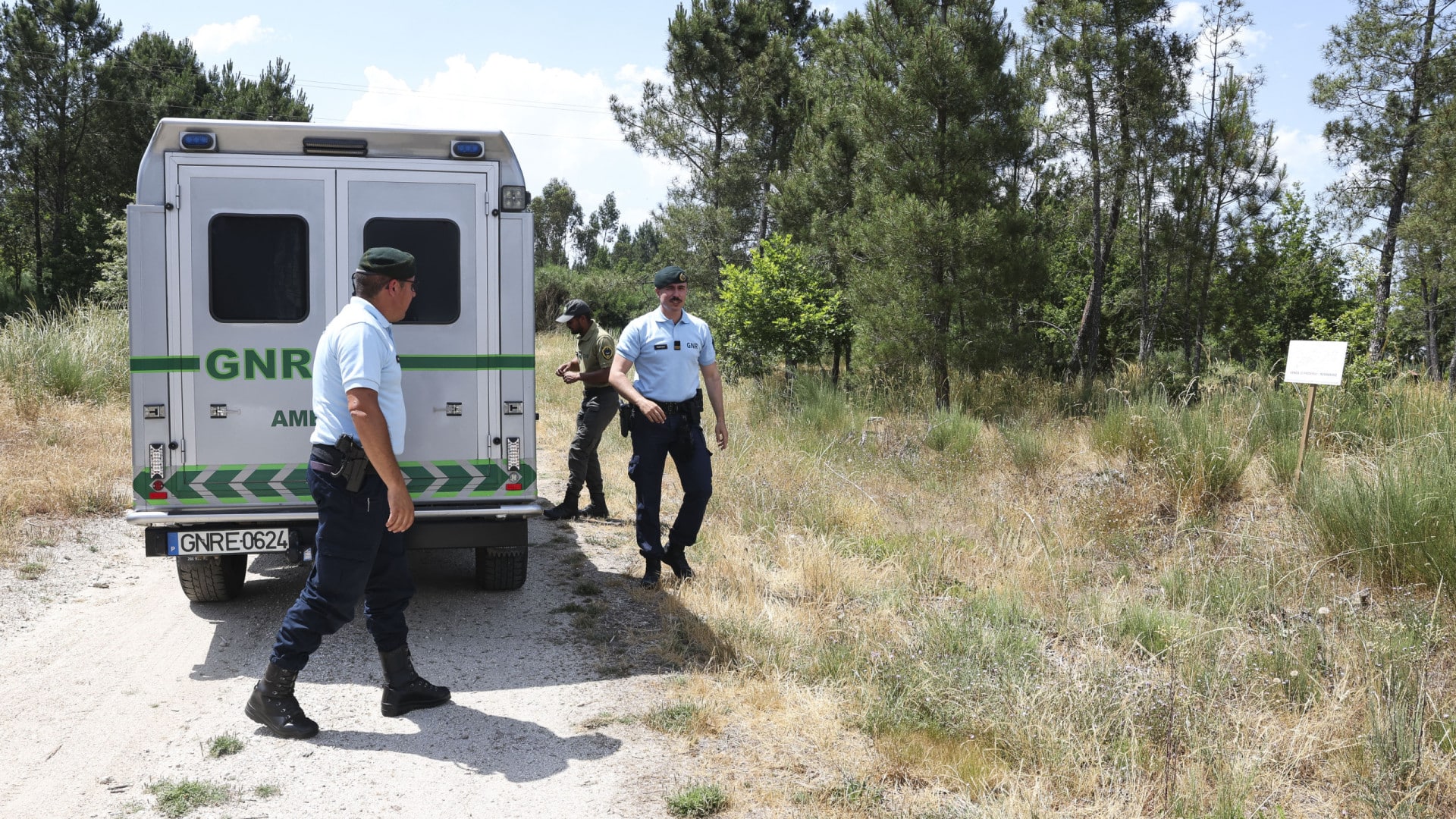 Manque de moyens et de main-d'œuvre rend difficile le nettoyage pour la protection de la forêt.