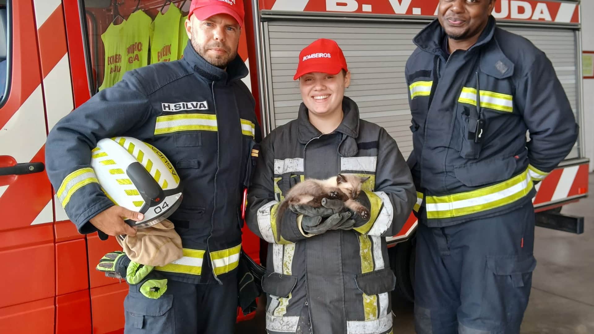 Merci, c'est sauver des vies. Les pompiers de l'Aguda sauvent un chat.