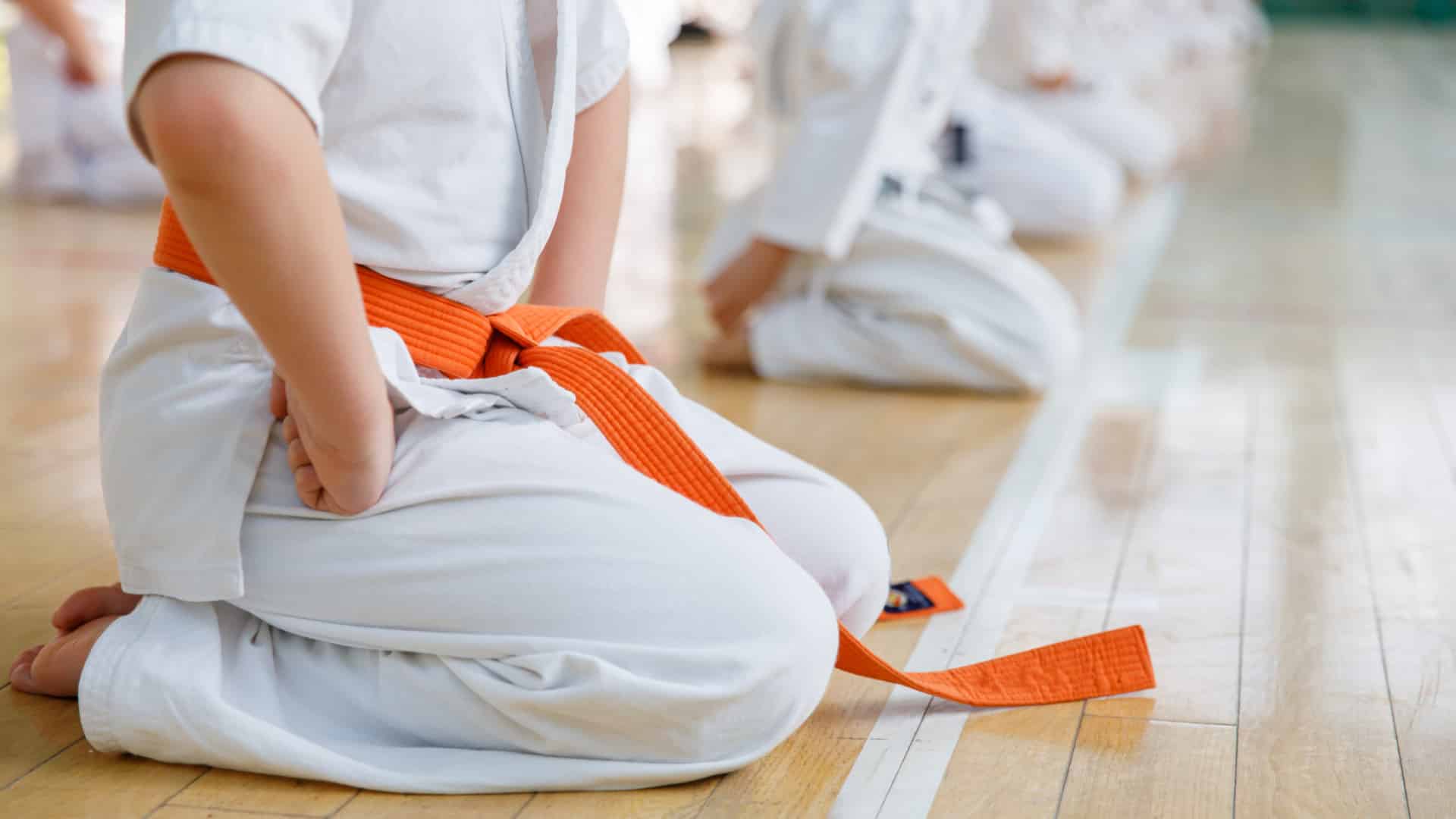 Professeur d'arts martiaux arrêté à Porto pour abus sexuel sur une fillette