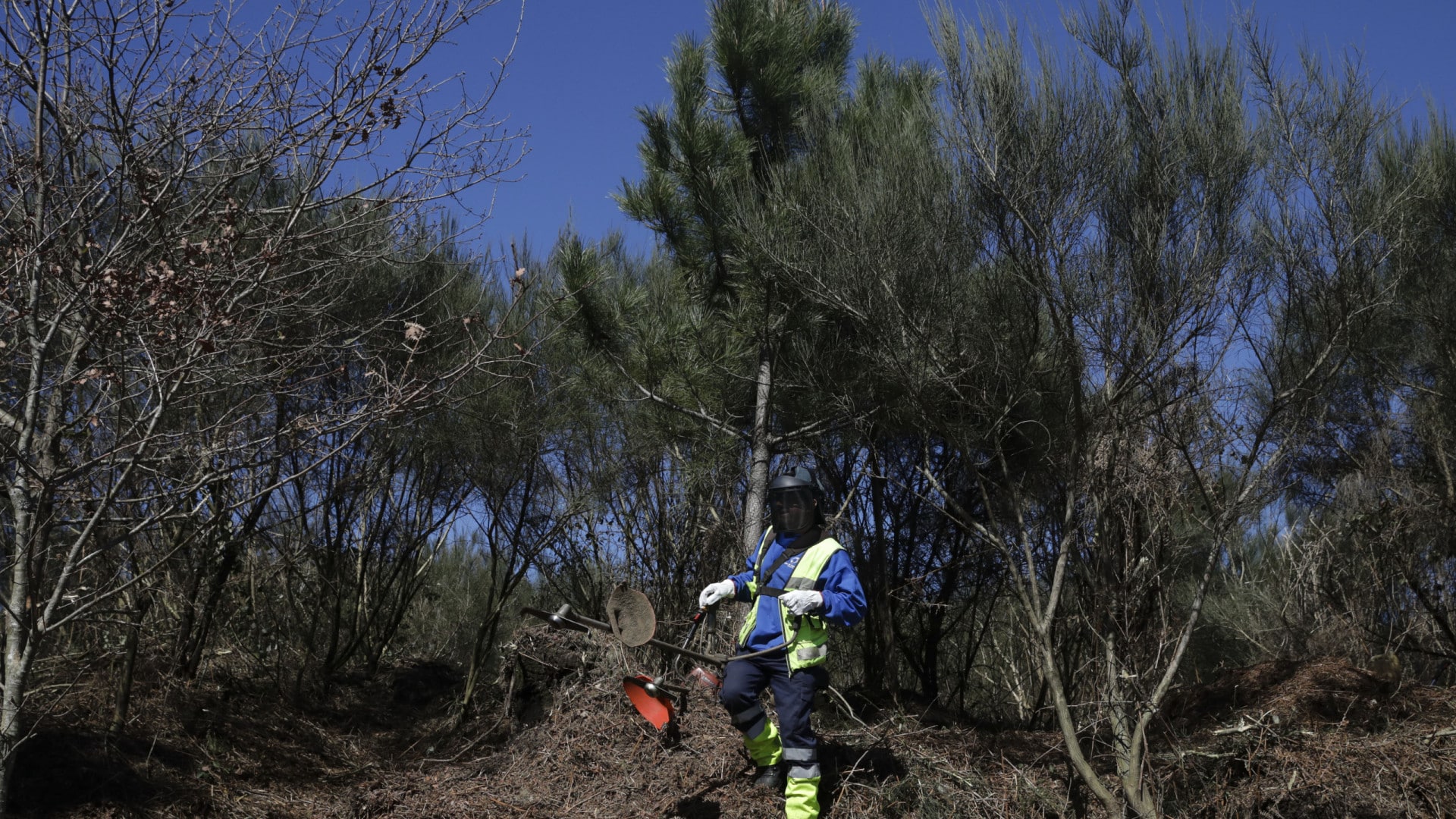 Terrains nettoyés ? Le délai se termine ce dimanche et le contrôle commence lundi.