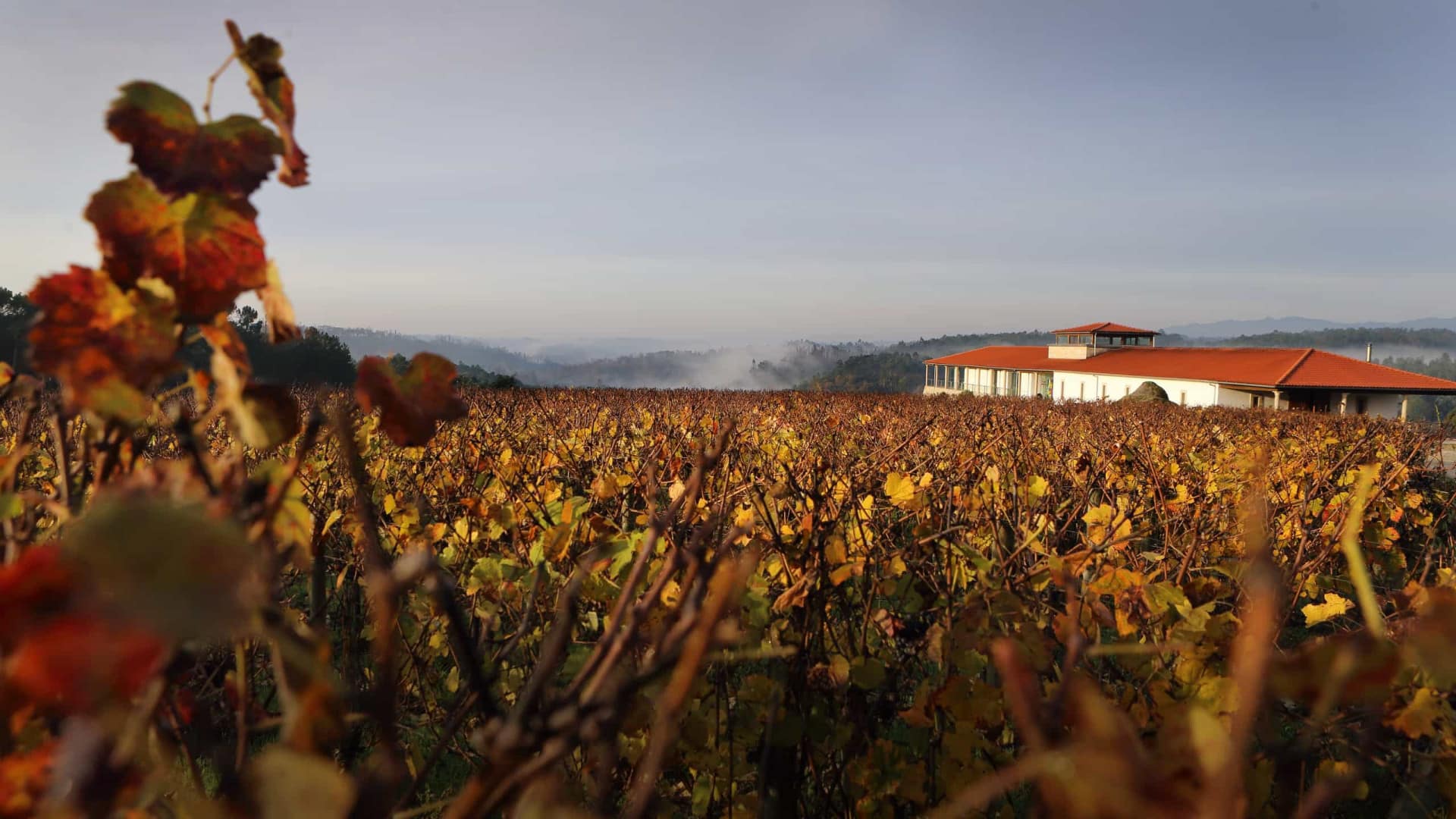 Turismo du Centre veut une route d'œnotourisme avec l'Alentejo et l'Estrémadure.