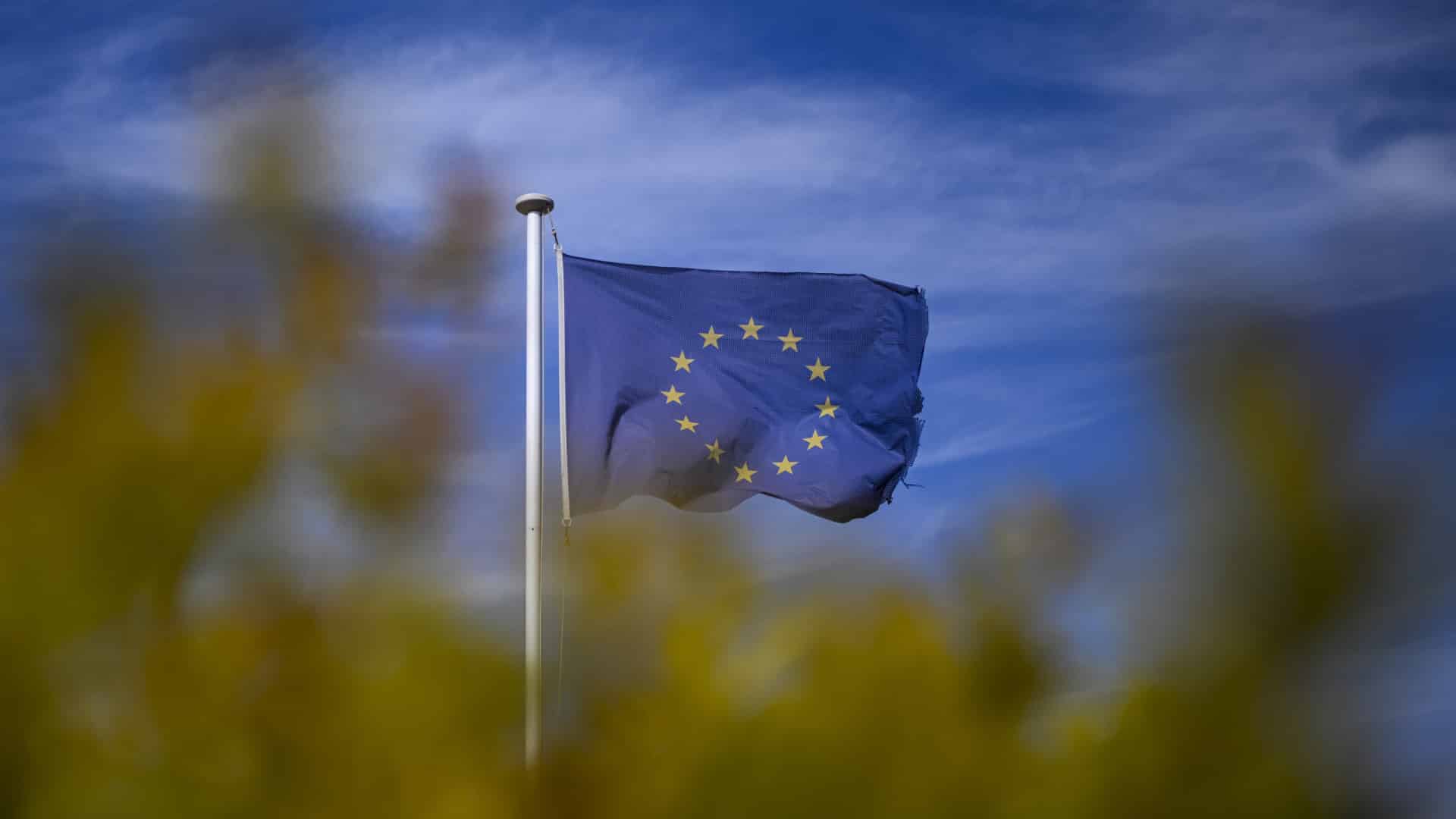 Un auditeur de l'UE préconise un budget plus simple et une dette commune avec des règles.