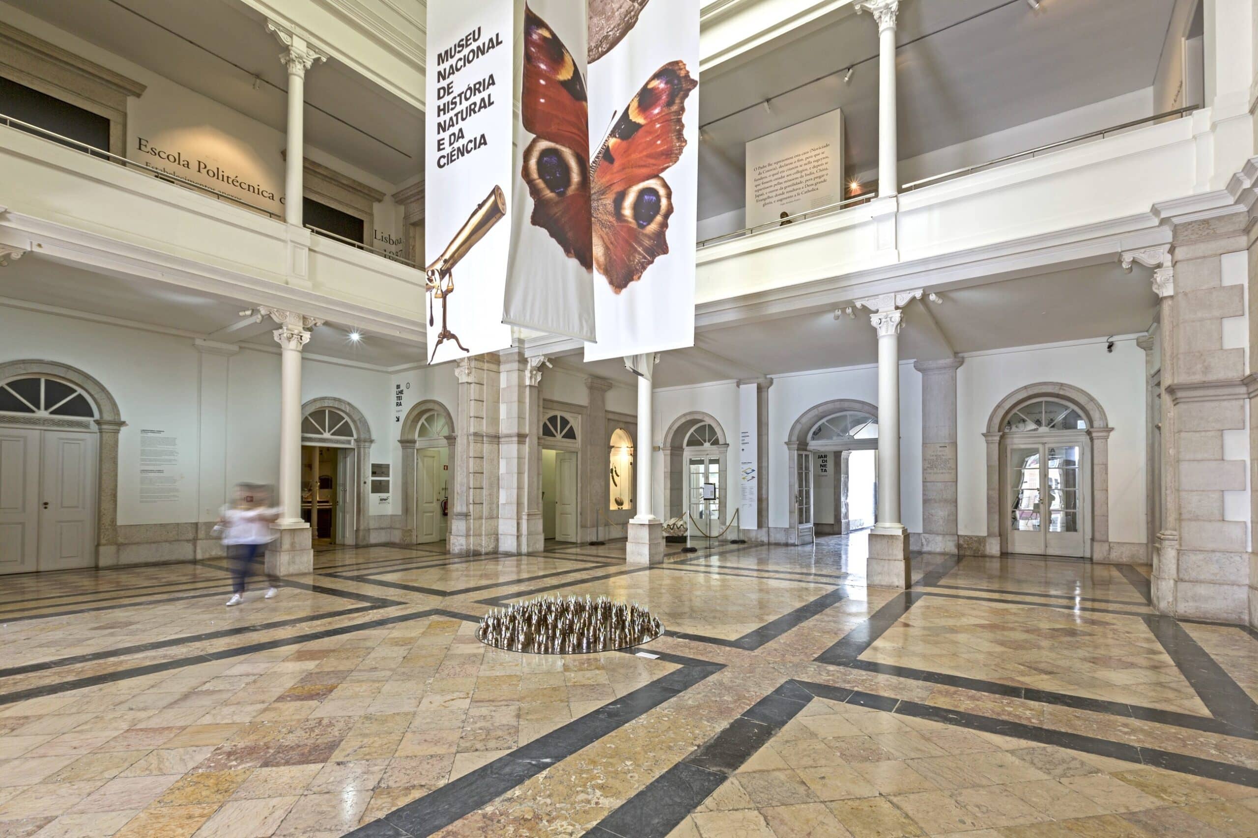 Museu Nacional de História Natural e da Ciência Príncipe Real