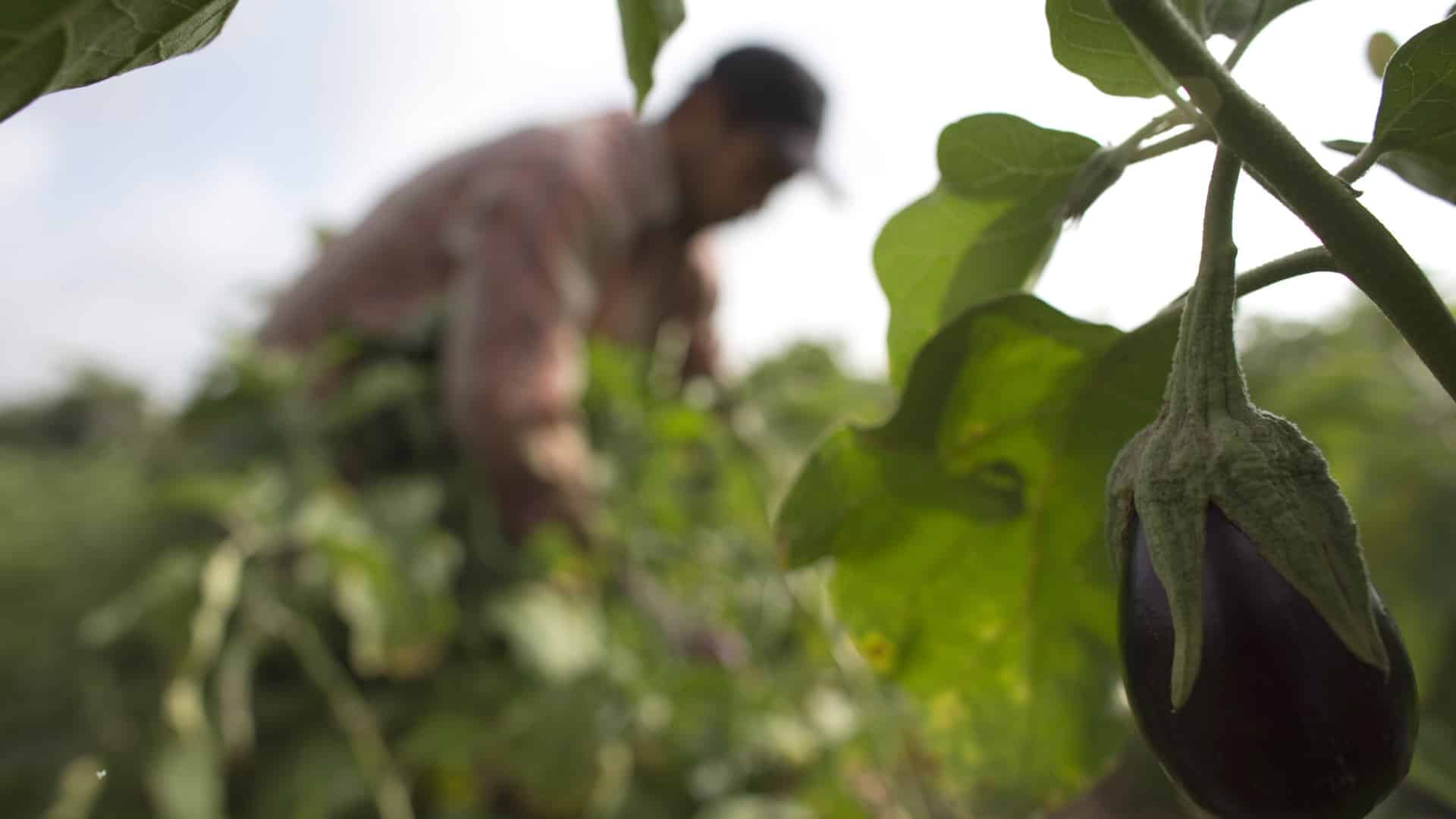 Agriculteur inculpé après avoir participé à une manifestation sur l'A6.