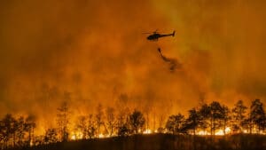 Des incendies ravagent (sans répit) tout le pays : il y a des vidéos et des photos.