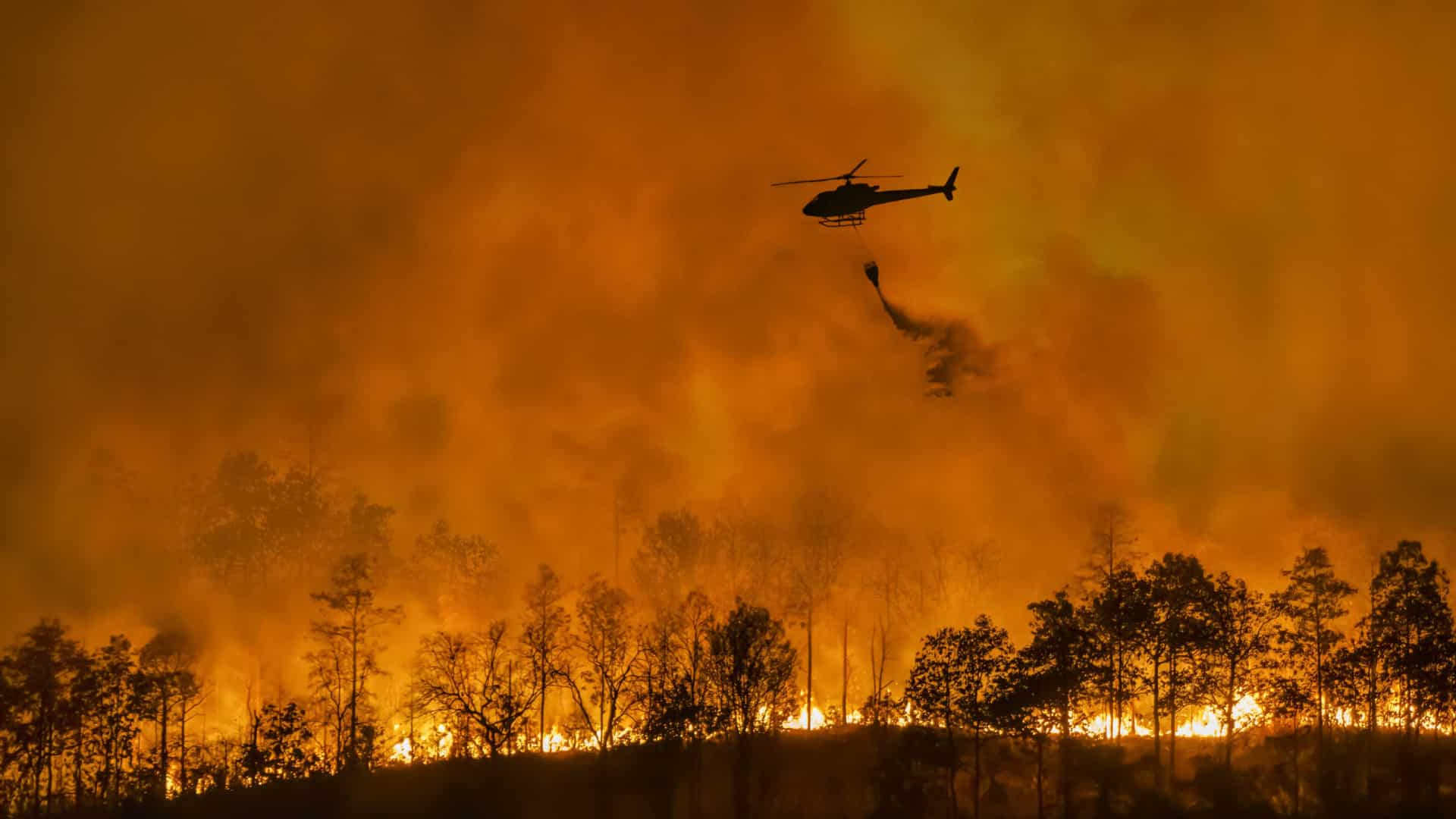 Des incendies ravagent (sans répit) tout le pays : il y a des vidéos et des photos.