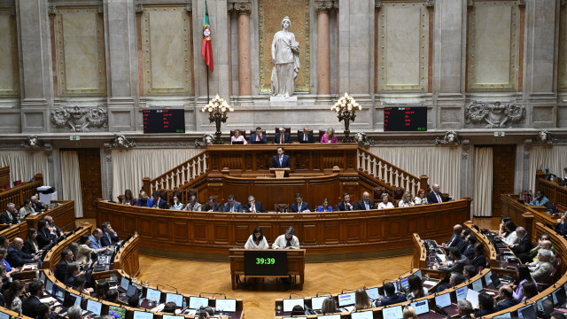 Luto gestacional? Livre, BE e PAN acusam Governo de ataque às famílias