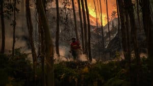 "En évolution". Incendie à Coimbra mobilise près de 200 opérateurs.