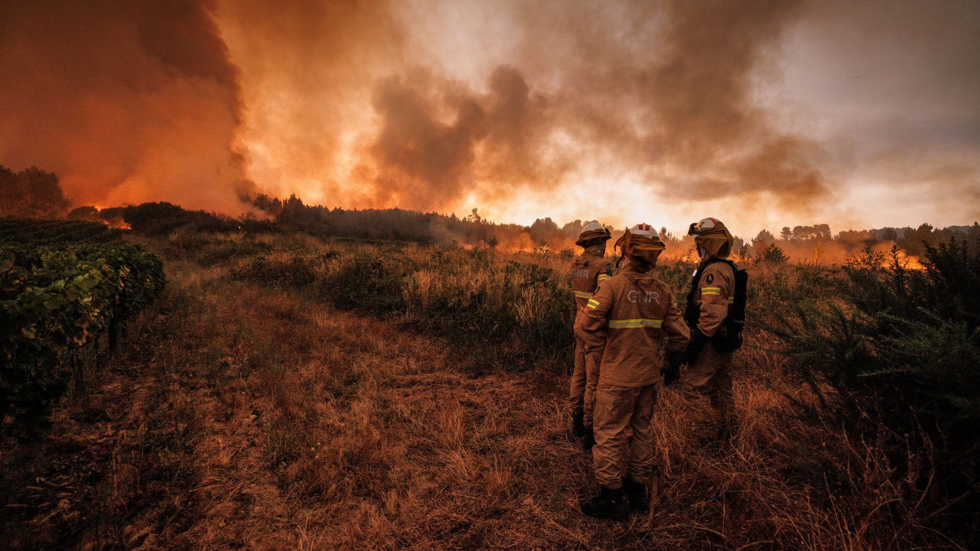 "En surveillance". Les opérateurs restent à Sabrosa en vigilance.