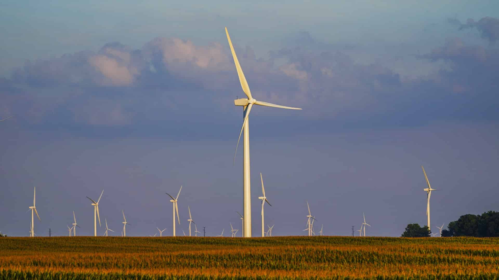 Énergie renouvelable dans l'UE : Il y a eu une croissance de 3,4 % en 2024.