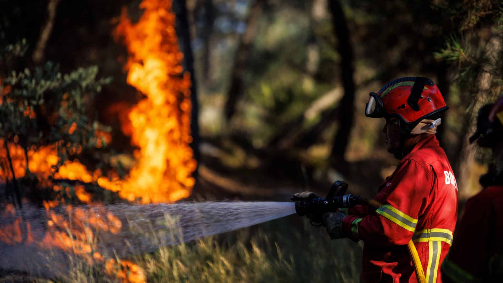 Feu à Sabrosa donné comme maîtrisé a été réactivé dans une zone "d'accès difficile"