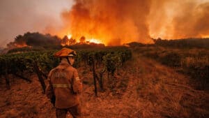 Feu à Sabrosa est entré en résolution à 09h40.