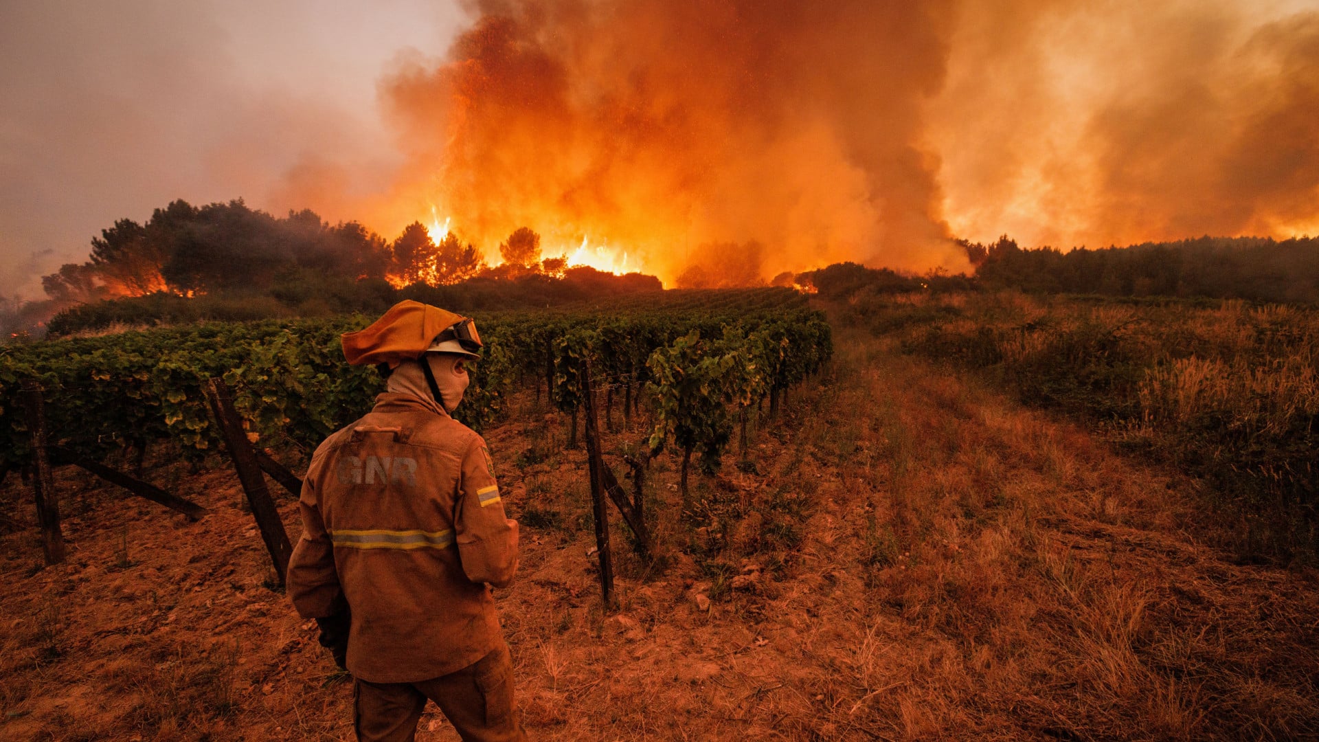 Feu à Sabrosa est entré en résolution à 09h40.
