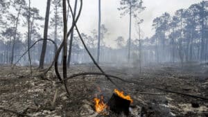 Fogo à Sabrosa "pourrait être maîtrisé". Il n'y a plus de populations en danger.