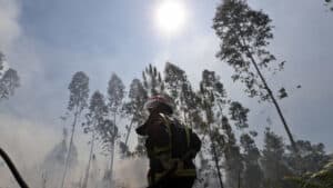 Fogo de Arouca avec six fronts brûle avec beaucoup d'intensité : "Compliqué"