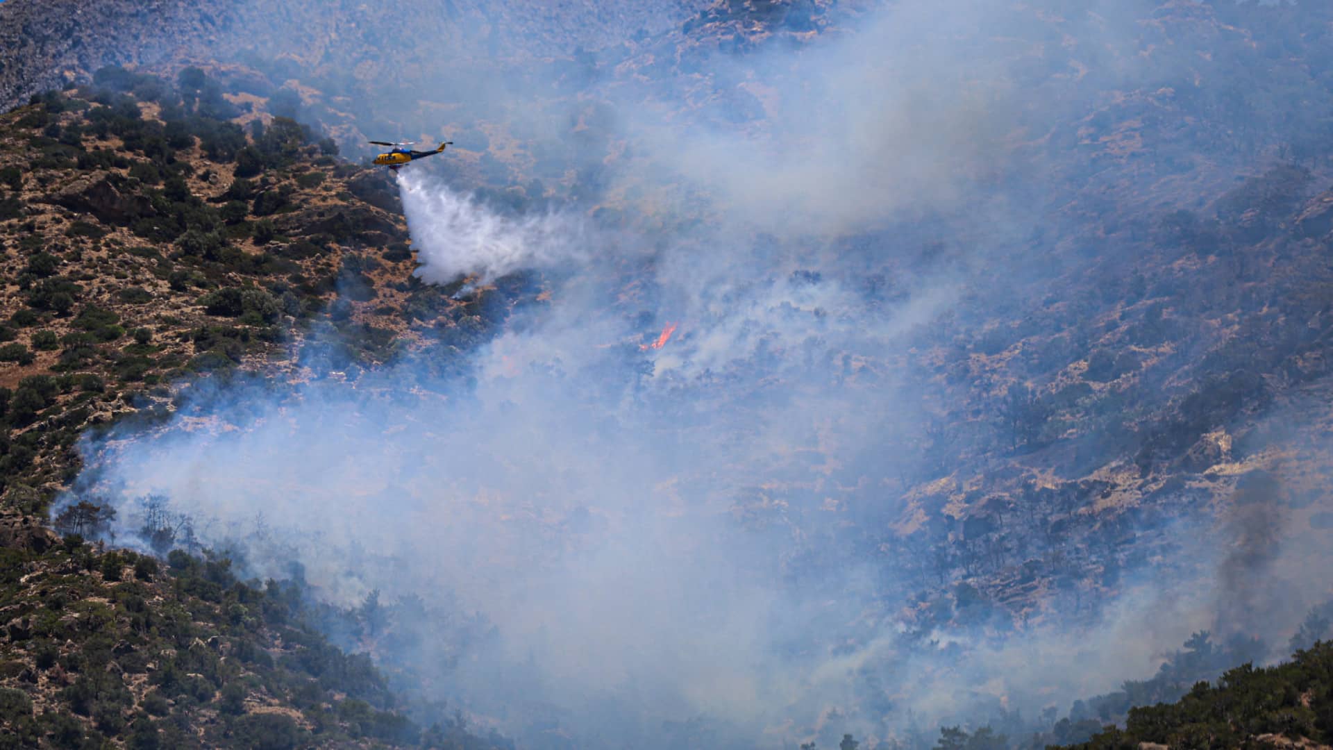 Fogos : Niveau de préparation 3 dans le Nord, le Centre, le Médio Tejo et l'Alto Alentejo