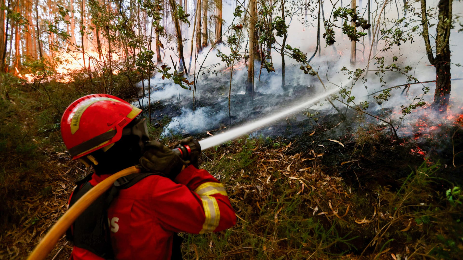 GNR arrête un homme pour incendie de forêt à Fornos de Algodres