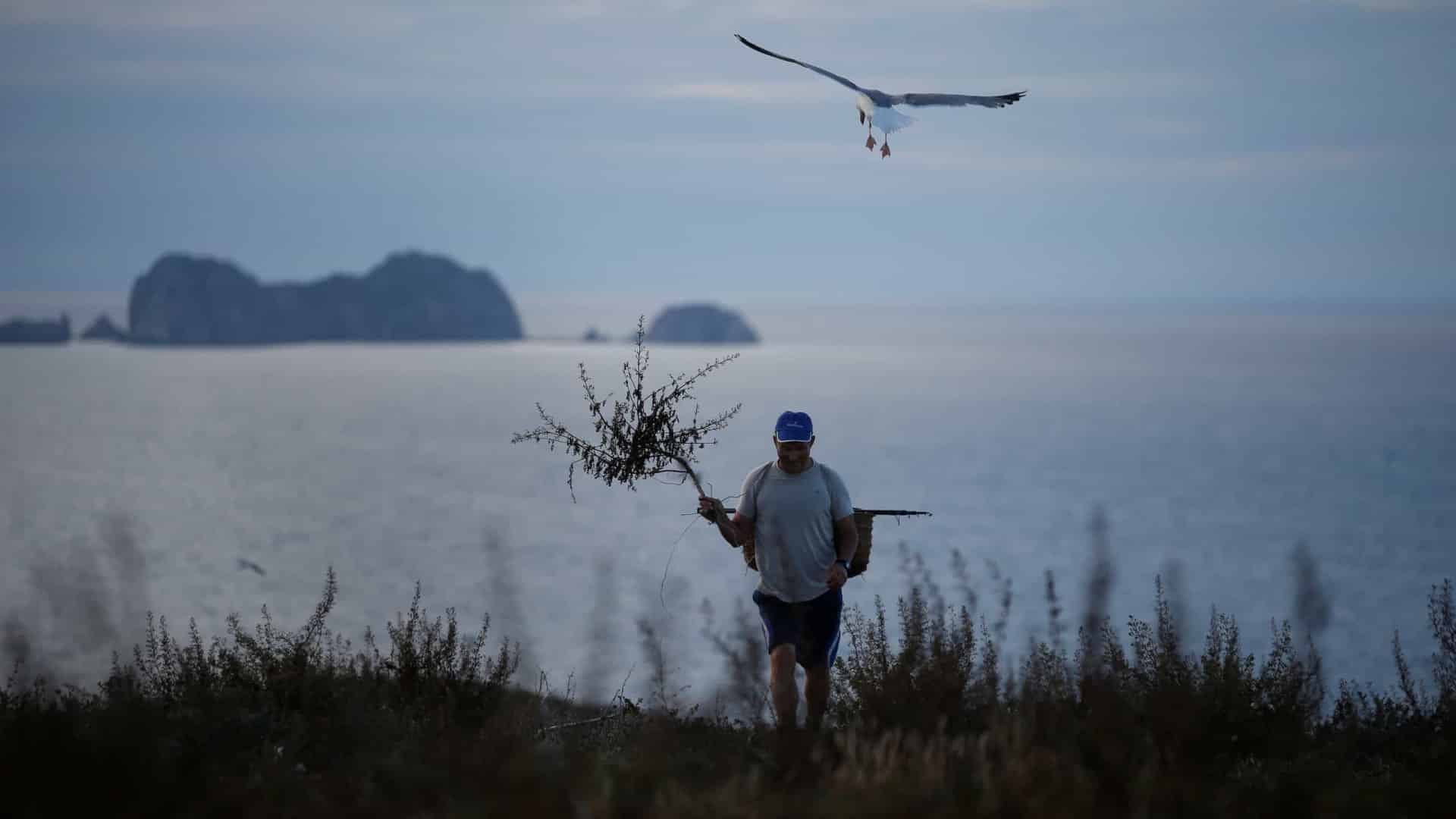 GNR inflige une amende pour pêche illégale dans la Réserve Naturelle des Berlengas.
