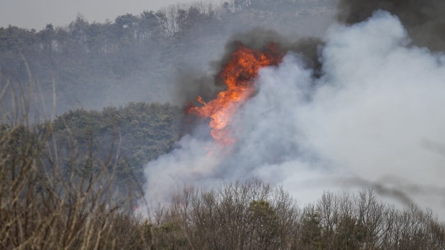 Homme arrêté par la PJ pour être suspecté d'avoir mis le feu à Castelo de Paiva.