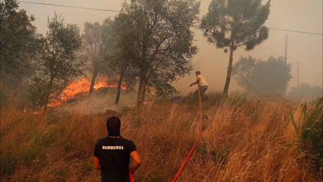 La gestion et la prévention des incendies disposera de 6 millions d'euros de soutien