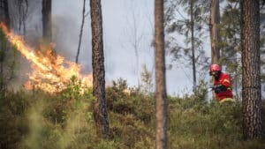 Incendie à Alcanede a causé des dégâts dans un annex de maison et a tué 350 porcelets.