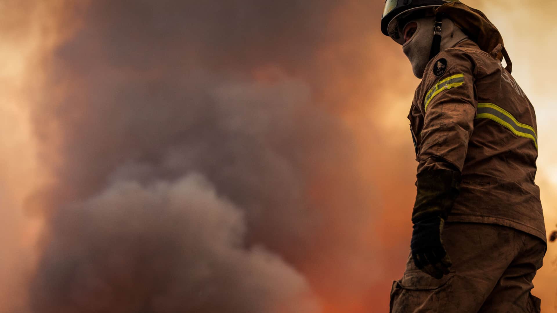 Incendie à Alcanede mobilise près de 230 pompiers et coupe la N362